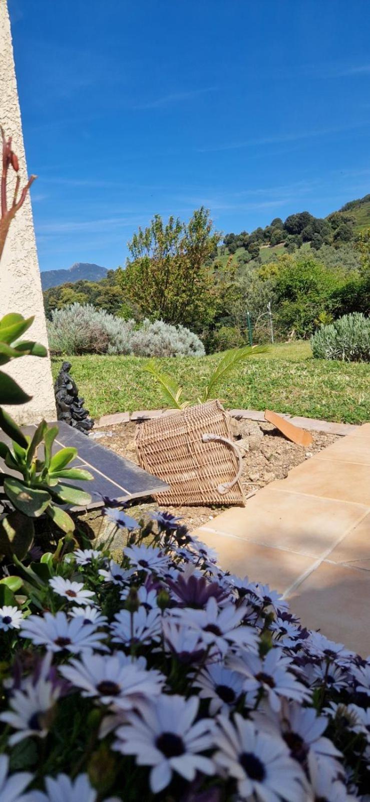 Mare E Monti Chez Thomas Et Magali Bed & Breakfast Vico Exterior photo
