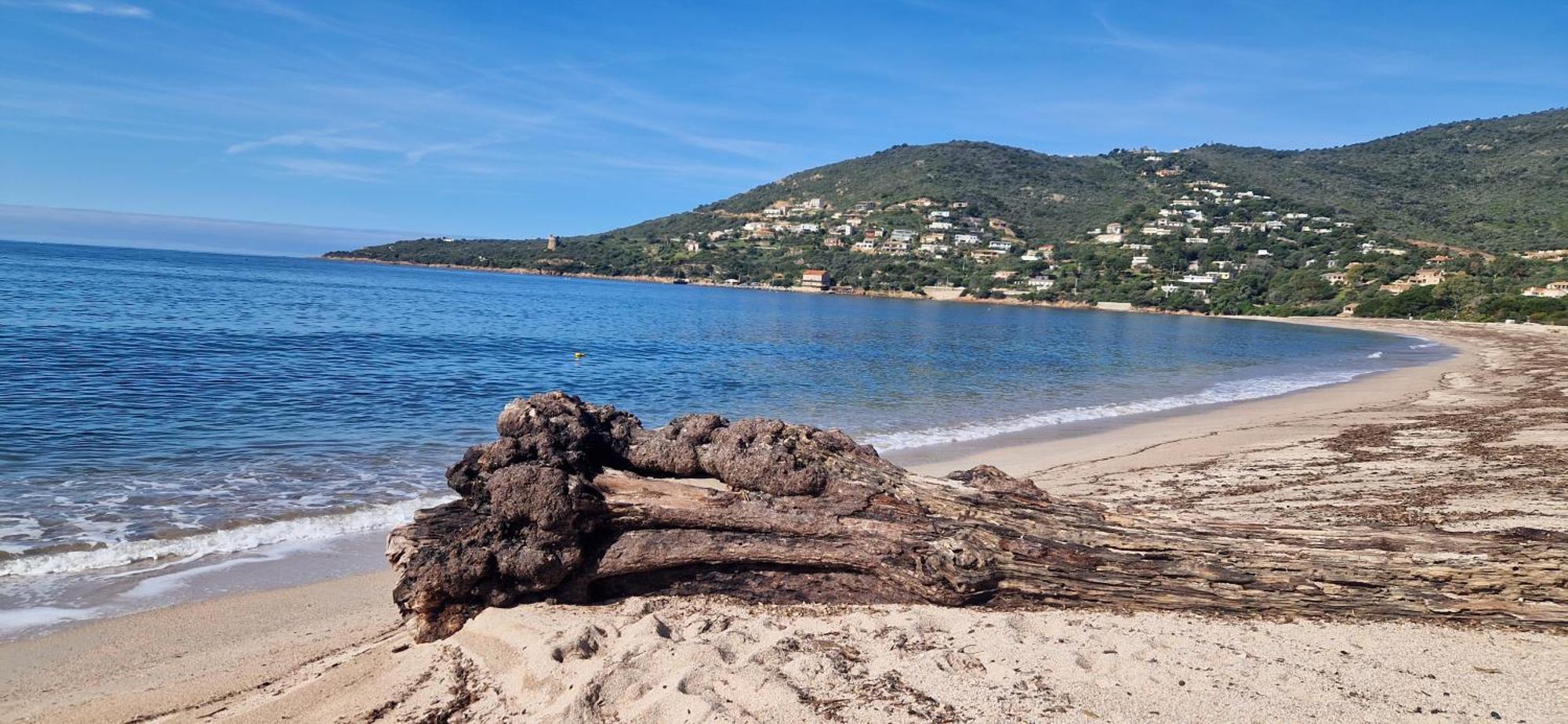 Mare E Monti Chez Thomas Et Magali Bed & Breakfast Vico Exterior photo